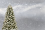 桌面圣誕樹插件網(wǎng)站，點(diǎn)亮冬日溫馨，增添節(jié)日氣氛