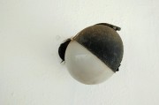解讀夢(mèng)境中的鱉，象征意義與心理暗示
