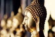 自由冷鋒游戲的神秘面紗——探秘其背后的游戲內涵與魅力，自由冷鋒，揭示隱藏在游戲背后的深度內涵與魅力