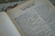 輕松入門，教你如何在論壇注冊賬號，論壇新手指南，輕松注冊賬號全攻略
