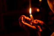 燃燒的生命——螢火蟲（寓言故事），螢火蟲的奧秘