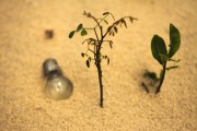 輕盈的夏日午后——輕松享受薄荷游戲免費，輕松享受，夏季薄荷游戲——只用一包薄荷