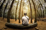 夢(mèng)到親人離開(kāi)，心靈的觸動(dòng)與思考