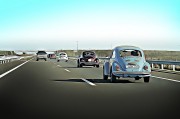 賽車之夢，速度與激情的交織，賽車之夢，速度與激情的交織