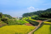 湘西網(wǎng)站流量，助力鄉(xiāng)村振興的數(shù)字引擎