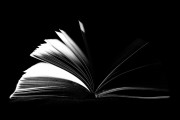 探討PS人像插件網(wǎng)站，提升攝影創(chuàng)作能力的新工具，從新手到專業(yè)，探索PS人像插件網(wǎng)站提升攝影創(chuàng)作能力的新工具