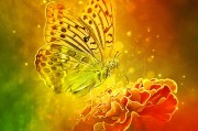 體驗無限可能的戶外游戲，免費游戲的無限可能，挑戰(zhàn)極限，自由游戲——您的戶外冒險樂趣新起點