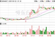 賽恩斯：2025年半年度歸屬于上市公司股東的凈利潤為49028285.58元
