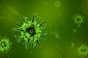 澳大利亞出現(xiàn)新冠新變種 FluQE：傳染性更高，幾周內(nèi)病例或激增