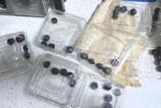 315在行動(dòng)|賽博鬼秤？直播間買8盒藍(lán)莓每盒才5顆 別讓網(wǎng)購(gòu)“攔”住份量“沒(méi)”了良心