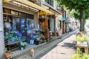 夢中的樓房，一場心靈的探索之旅，夢中的樓房，心靈探索之旅的啟程