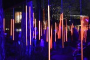 夢(mèng)中喜宴，一場難忘的盛宴，夢(mèng)中喜宴，難忘的盛宴之旅