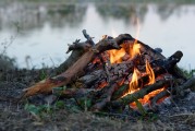 全球熱門大逃殺游戲，免費(fèi)下載與體驗(yàn)，全球熱門大逃殺游戲，免費(fèi)下載體驗(yàn)一覽