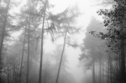 煙囪之夢，探索夢境中的神秘符號，煙囪之夢，探索神秘符號的夢境之旅