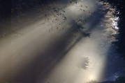 夢中情愫，解析夢中有人喜歡自己的心理奧秘，解析夢中有人喜歡自己的心理奧秘，夢中情愫的探索