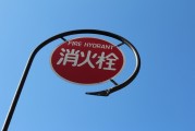 無廣告、無內(nèi)購、無充值的跑酷游戲大放送！為愛發(fā)電