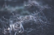 體驗自由無拘無束的游戲世界——免費主機游戲的魅力解析，如何領(lǐng)略自由無拘無束的游戲世界，從免費主機游戲的特性解析