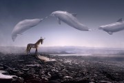 夢(mèng)中鯨歌，一場(chǎng)與海洋巨獸的奇妙邂逅，夢(mèng)中鯨歌，與海洋巨獸的奇妙邂逅