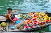 夢(mèng)中的捉魚之旅，未果的期待，夢(mèng)中的捉魚之旅，未果的期待之旅