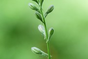 搭建菠菜網站的重要性與步驟，重要性，為何搭建菠菜網站？步驟指南