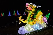 保衛(wèi)蘿卜游戲中，免費并不是一種誘惑，保衛(wèi)蘿卜，游戲中的付費意識與策略分析