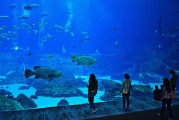 日照市是中國山東省的一個(gè)海濱城市，擁有豐富的旅游資源和文化底蘊(yùn)。隨著互聯(lián)網(wǎng)技術(shù)的發(fā)展，日照的旅游業(yè)也在不斷壯大。日照網(wǎng)站優(yōu)化的重要性不言而喻。，日照，中國山東省海濱城市的旅游資源與文化魅力