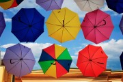 夢(mèng)中的雨意，夢(mèng)中的雨意，詩意與情感的交織。