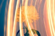 CCG（Collective Content Game），一個讓玩家盡情探索的免費游戲世界，自由探索，無拘無束！體驗CCG的魅力，免費游戲世界之旅