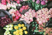 注冊(cè)了有錢花如何注銷，詳細(xì)指南助你輕松解綁，有錢花賬戶注銷全攻略，輕松解綁，告別繁瑣步驟