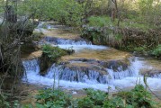 夢(mèng)到淌水，心靈與自然的交融，夢(mèng)中的淌水，心靈與自然的交融之旅