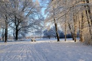 冰雪奇緣游戲——讓你置身于一個全新的冰雪世界！，冰雪奇緣冒險，沉浸式游戲體驗帶你穿越奇妙冰雪世界