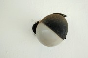 夢境中的蛆——探索內(nèi)心深處的象征意義，夢境中的蛆，探索內(nèi)心深處的象征意義