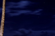 夜深人靜時(shí)的享受——探索睡眠免費(fèi)游戲的魅力，享受寧?kù)o夜晚，探索深度睡眠游戲的魅力