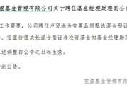 罕見(jiàn)！寶盈基金詭異的基金經(jīng)理變動(dòng)！