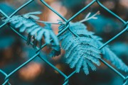 SEO是什么？，簡要解析，理解SEO的基本概念和術(shù)語