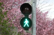 新車輪胎發(fā)黃的原因是什么？如何預(yù)防和處理這一問題？