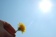 夢(mèng)中的朋友，大肚子的寓意，夢(mèng)中的朋友與大肚子的寓意