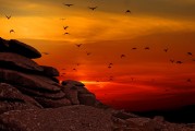 夢(mèng)中的航行之旅，夢(mèng)中的航行之旅，探索心靈深處的旅程