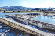 長隆——一個網絡流量龐大的旅游勝地，長隆，網絡世界中的熱門旅游勝地