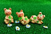 吉祥的免費(fèi)游戲，魅力無窮的魅力，如何尋找并享受您的幸運(yùn)之源，免費(fèi)游戲的樂趣與魅力