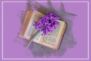飛書(shū)電腦版注冊(cè)指南，輕松開(kāi)啟高效辦公之旅，飛書(shū)電腦版注冊(cè)攻略，輕松起步，高效辦公無(wú)憂(yōu)