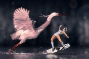 荒野之息，解鎖馬兒自由奔跑的秘密—馬匹注冊(cè)全攻略，探索荒野自由，馬匹注冊(cè)攻略詳解