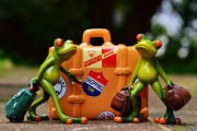 僵尸戰(zhàn)爭，如何輕松注冊，開啟你的戰(zhàn)斗之旅！輕松注冊，加入僵尸戰(zhàn)爭，開啟你的驚心動魄戰(zhàn)斗之旅！