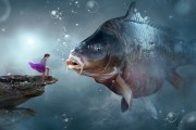 夢中捉魚，一場與魚的奇妙邂逅，夢中捉魚，一場與魚的奇妙邂逅