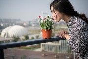 夢中邂逅，女孩的神秘世界，夢中邂逅，女孩的神秘世界