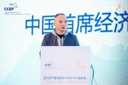 中國(guó)首席經(jīng)濟(jì)學(xué)家論壇劉煜輝：2025年A股將告別“投票器”，走向“稱重機(jī)”