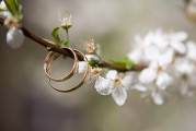 夢(mèng)中之筆，一篇關(guān)于夢(mèng)到文章的探索