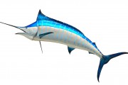 無(wú)限制的海洋冒險(xiǎn)，游戲釣魚(yú)免費(fèi)下載體驗(yàn)，無(wú)盡海洋，魚(yú)類垂釣樂(lè)趣無(wú)窮！輕松下載并享受游戲捕魚(yú)的樂(lè)趣
