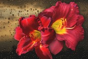 妃容天下游戲全線上免費(fèi)！你還在等什么？這款以歷史背景和精美畫面為題材的手機(jī)游戲，即將在全線上全面開(kāi)啟。，妃容天下手游預(yù)約開(kāi)啟