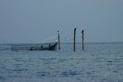 夢中的魚影，一次自我探索的殺魚夢，夢中之魚影，一次自我探索的殺魚夢境